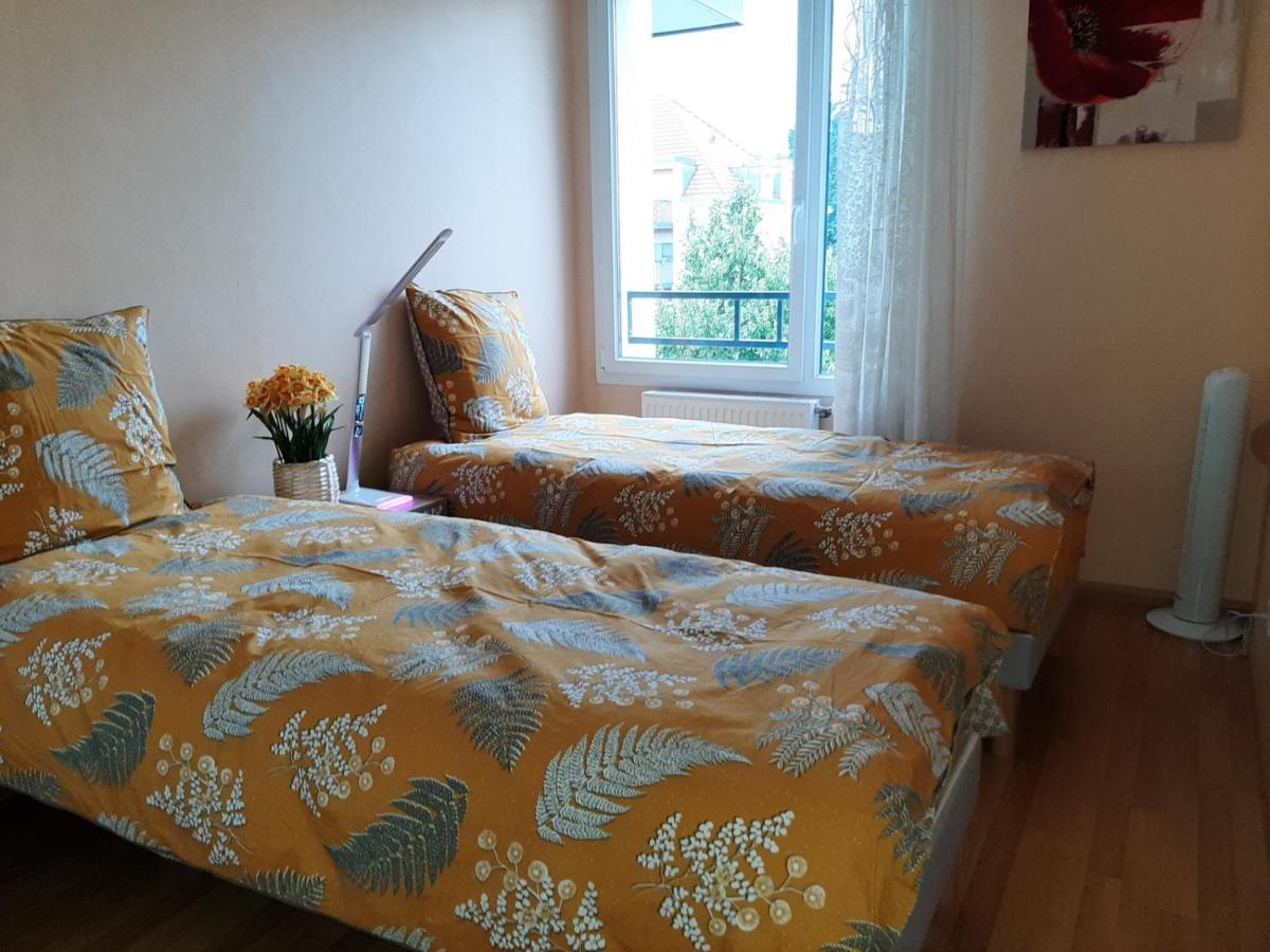 Gite La Houblonniere Standing Et Confort A 科尔马 外观 照片